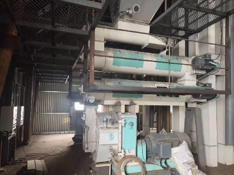 喂料+调质+造粒